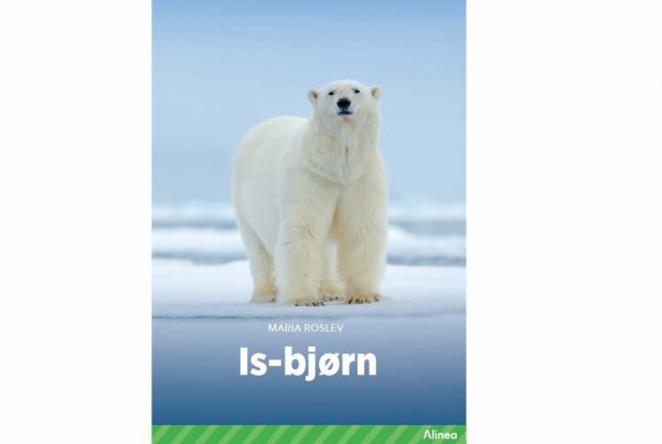 Isbjørn_cover