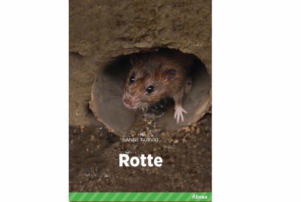 Rotte_cover