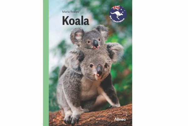 Koala_cover