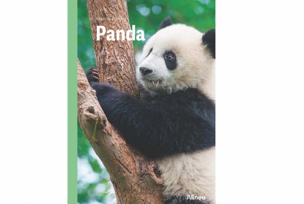 Panda_coverNY